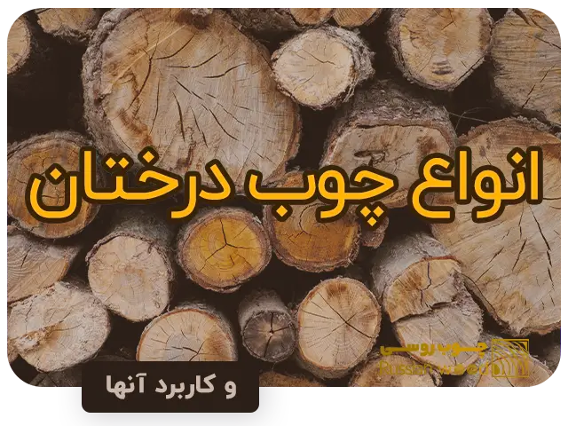 آشنایی با انواع چوب درختان و کاربرد آنها