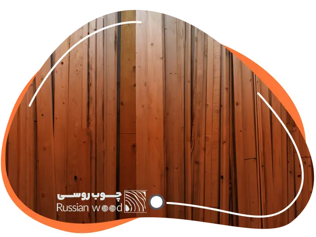 خزید چوب نراد روسی