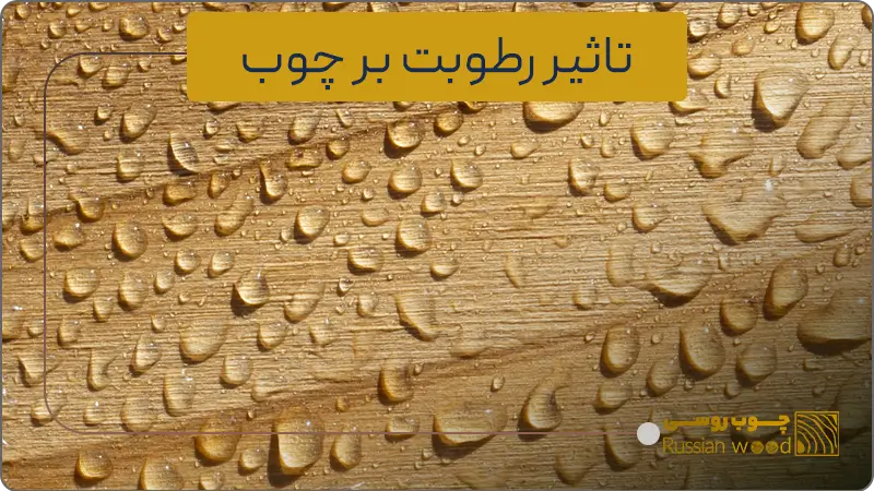 تفاوت چوب روسی و ایرانی در تاثیرات رطویتی