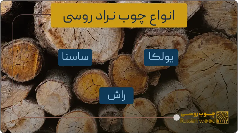 انواع چوب نراد روسی و بررسی آنها با چوب‌های ایرانی