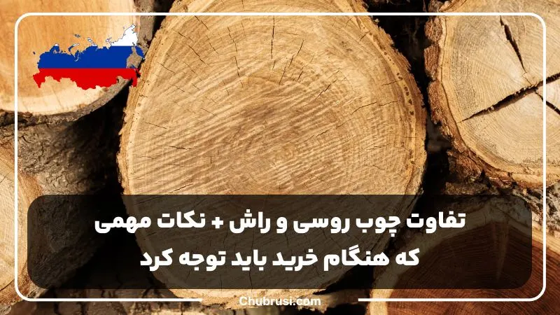 تفاوت چوب روسی و راش و نکات مهم هنگام خرید