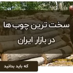 سخت‌ترین چوب‌های موجود در بازار ایران